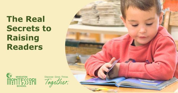 Boy reading a book at a table with the text 