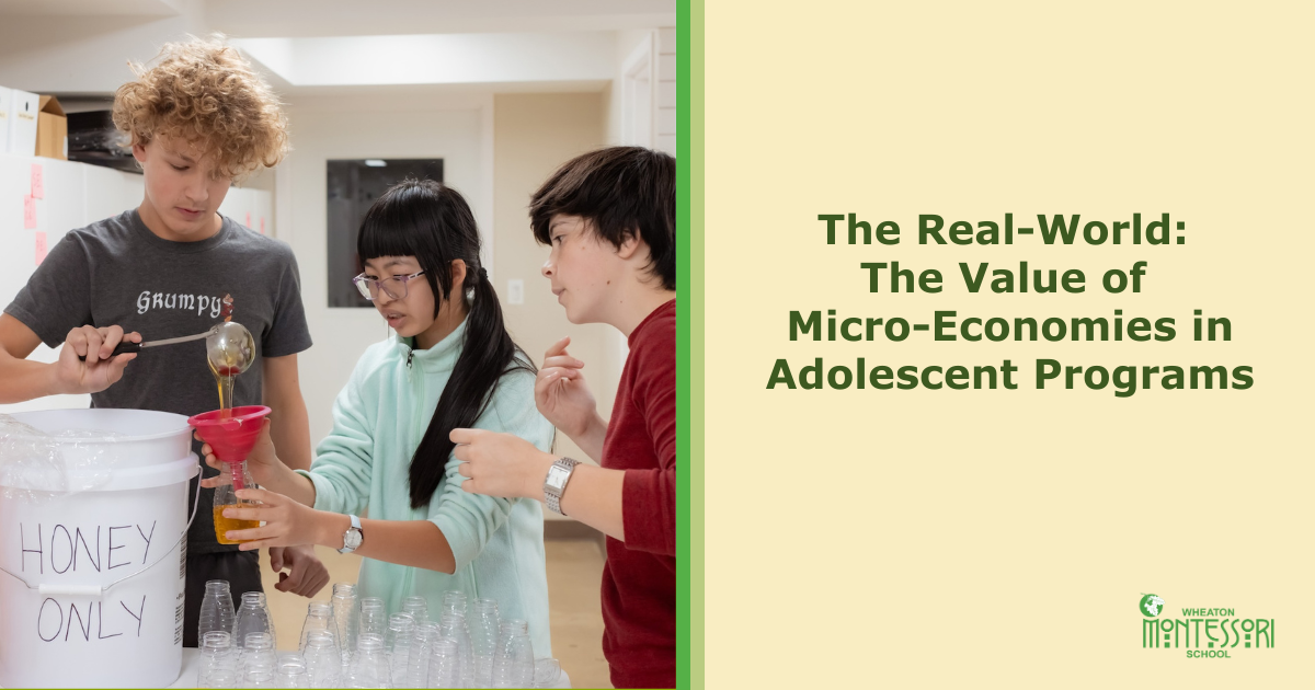 The Real-World: The Value of Micro-Economies in Adolescent Programs