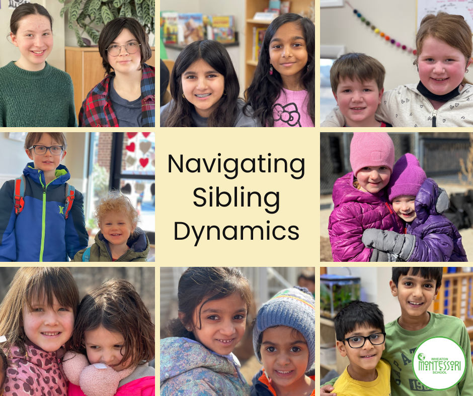 Navigating Sibling Dynamics
