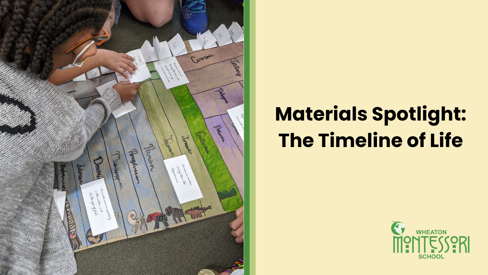 Materials Spotlight: The Timeline of Life