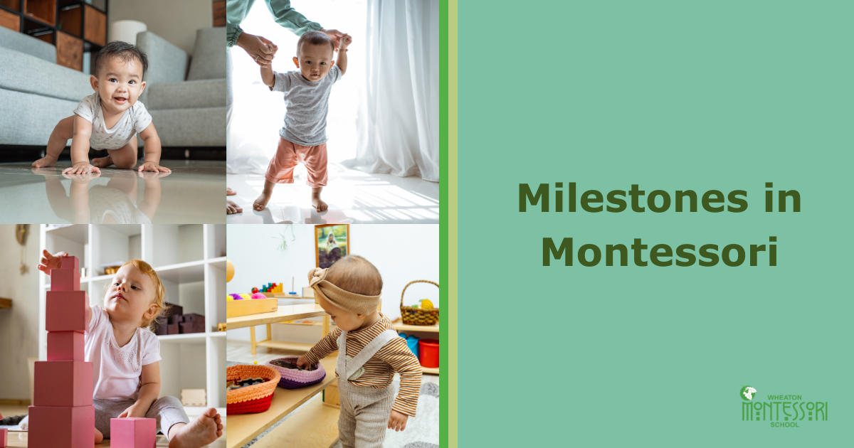 Milestones in Montessori