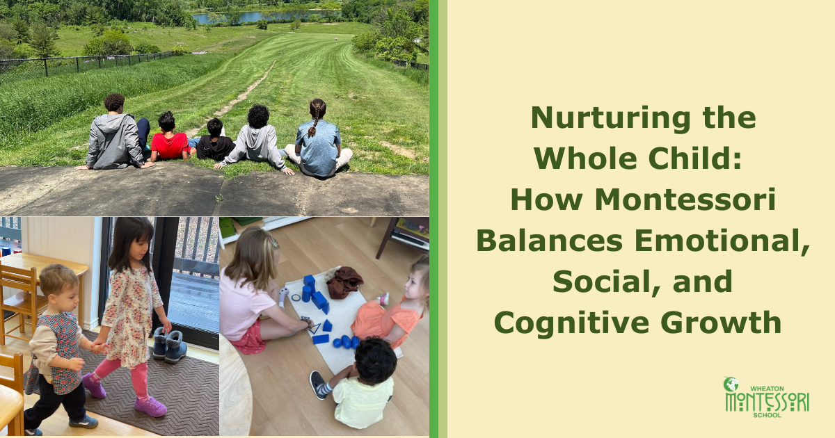 Nurturing the Whole Child: How Montessori Balances Emotional, Social, and Cognitive Growth