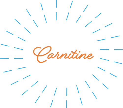 l carnitine drip L-Carnitine | Linus Pauling Institute