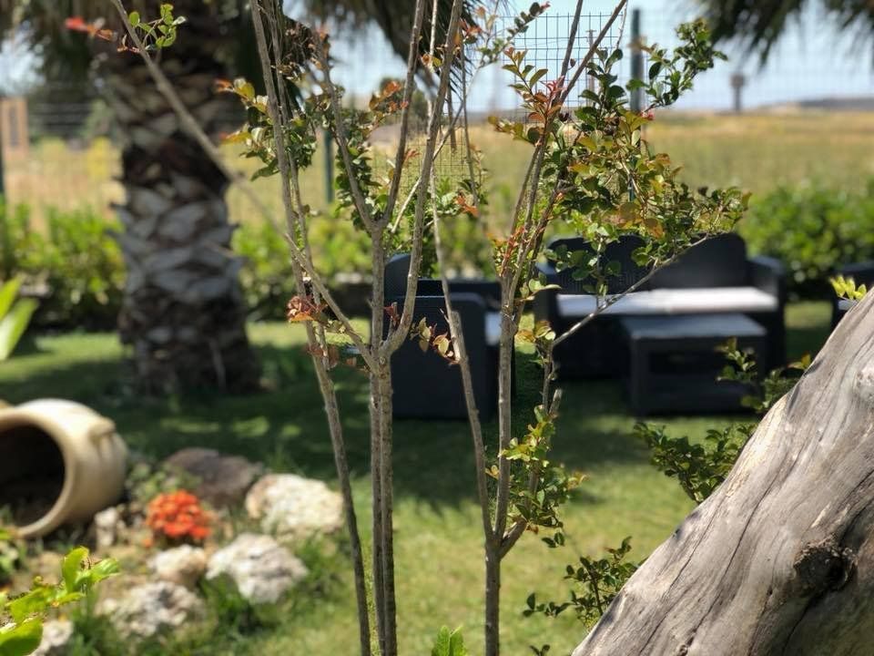 Giardino con area relax per gli ospiti