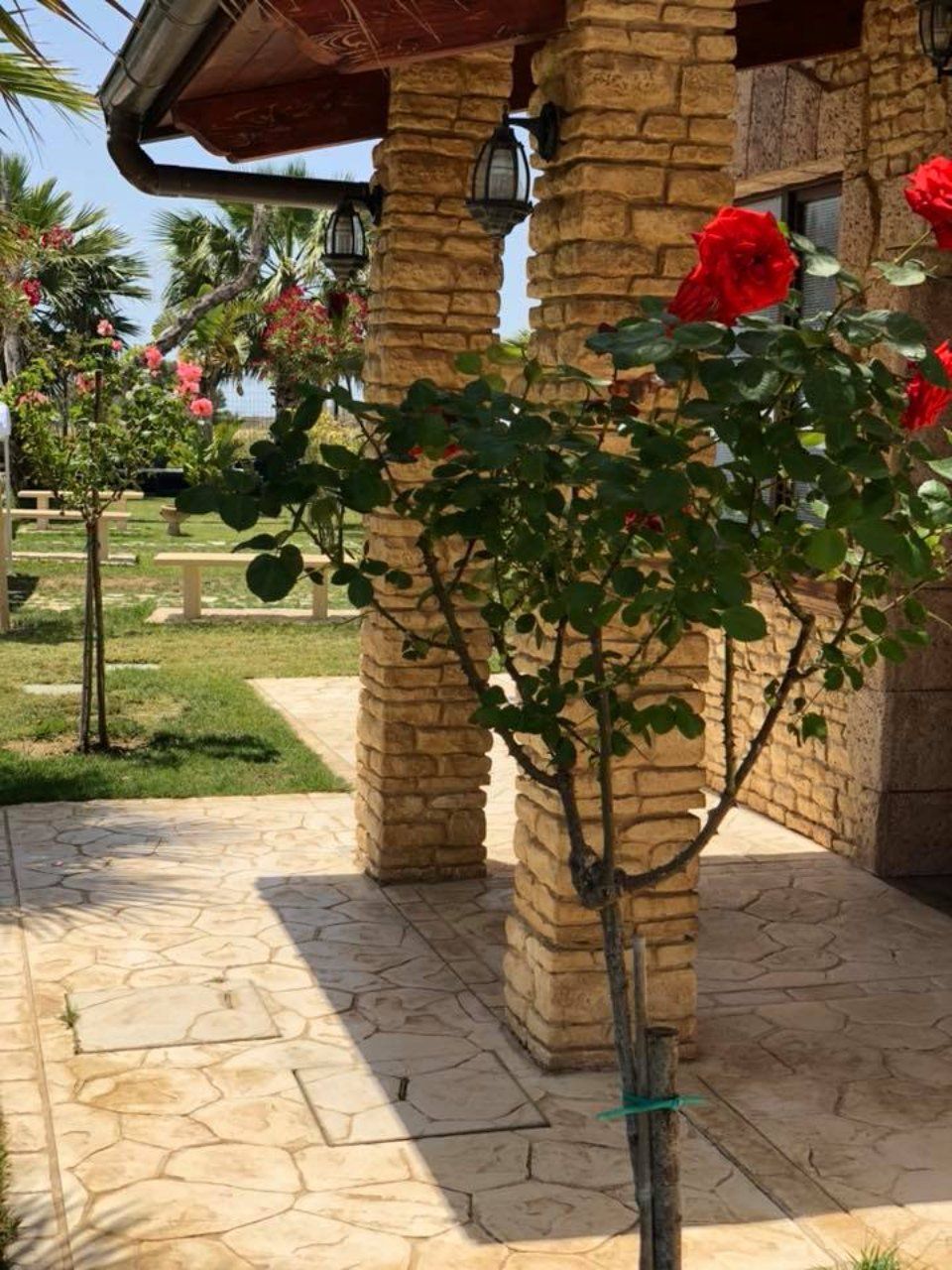 Agriturismo in villa