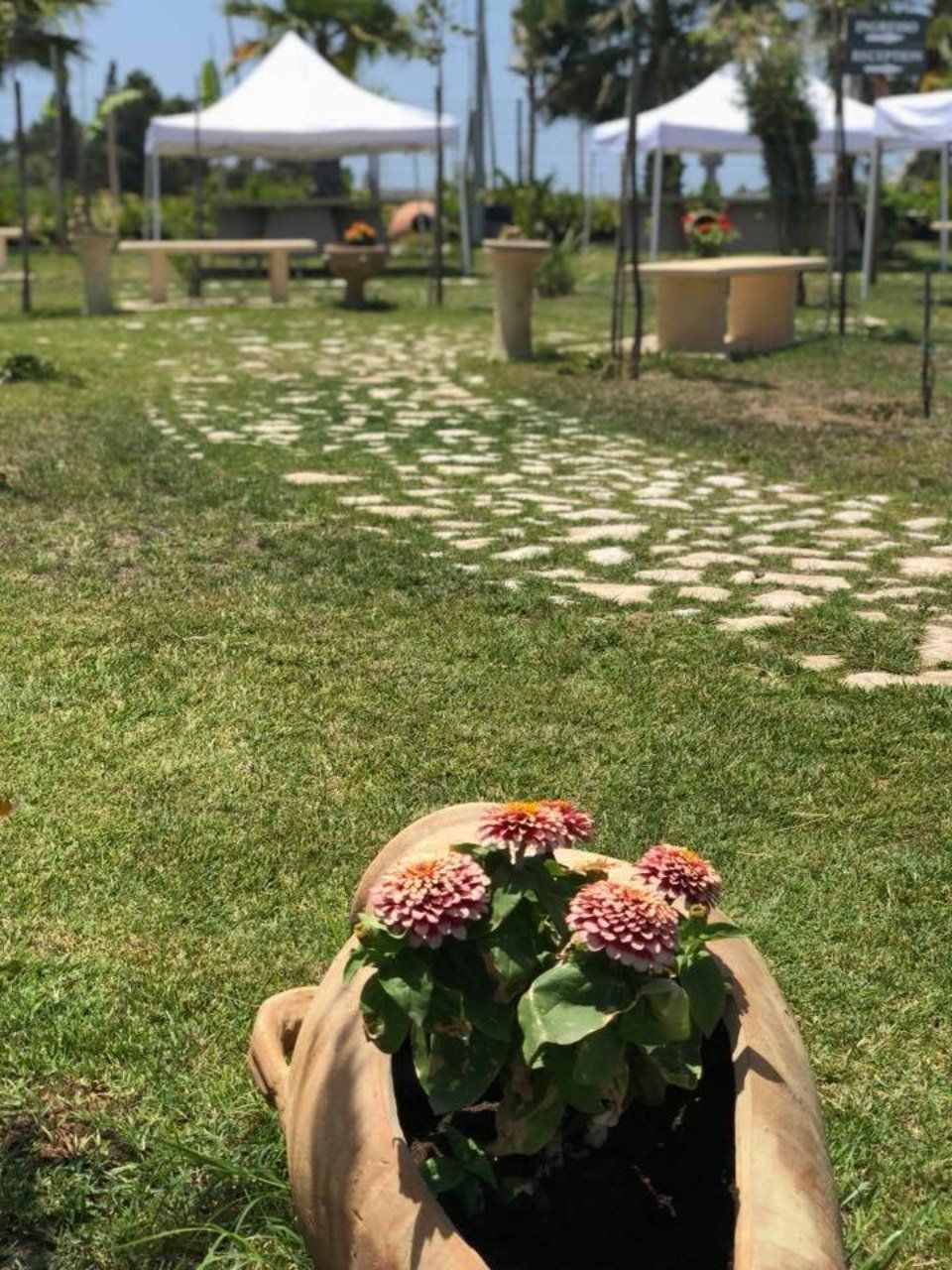 Giardino curato con fiori e piante