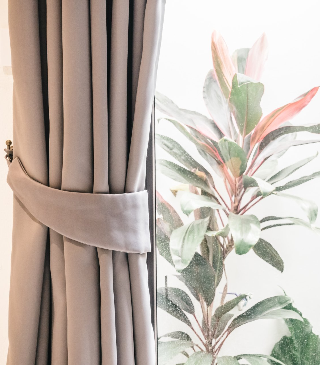 Pink coloured formal curtain, tied back, showing pink and green plant outside window.