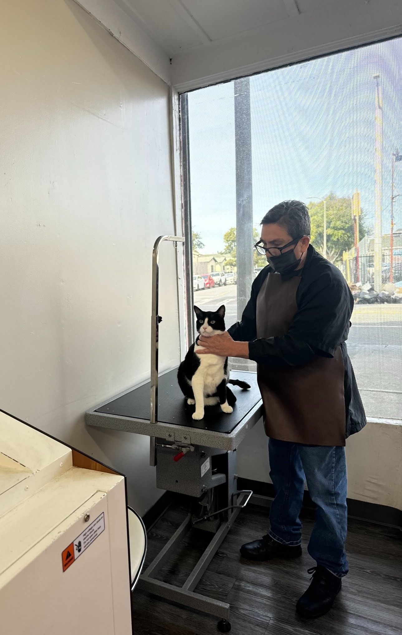 A man is grooming a black and white cat on a table.