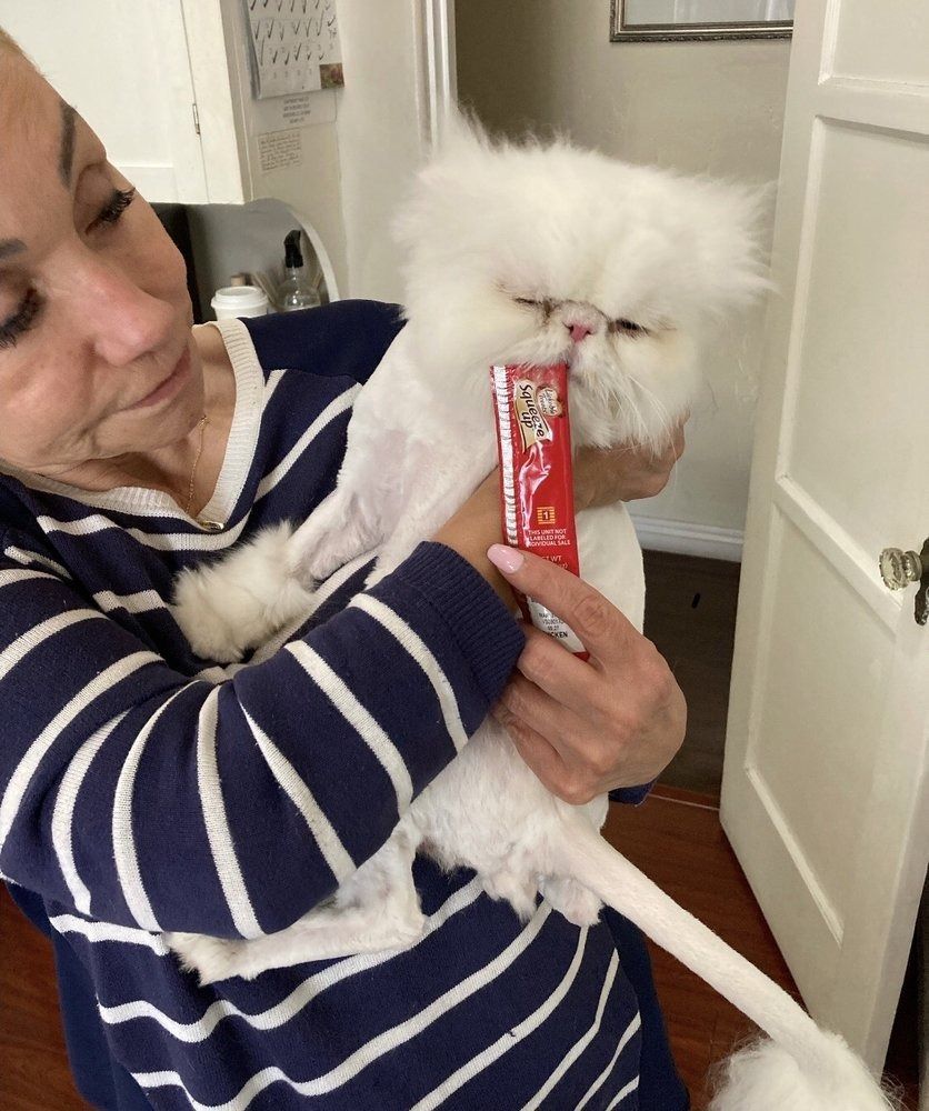 A woman in a blue and white striped shirt is holding a white cat