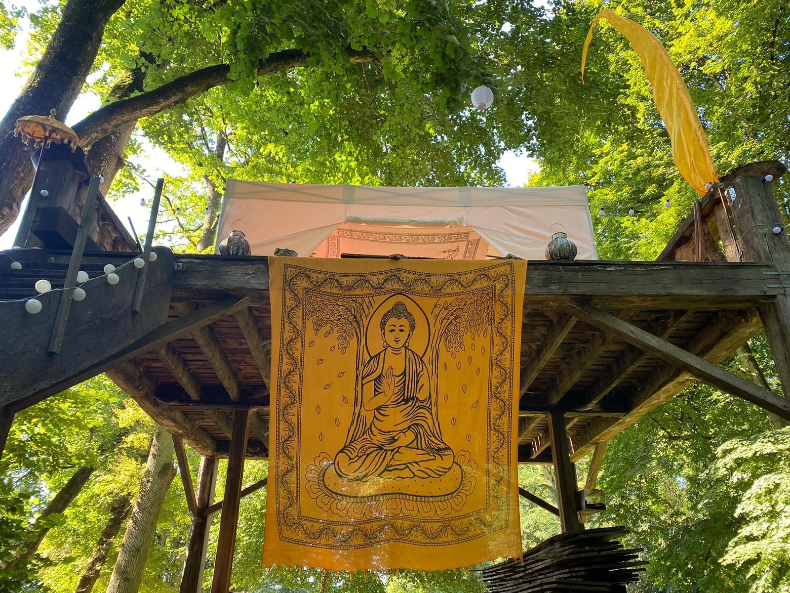Twee vrouwen in een grasrijk park beoefenen Tai Chi. De een begeleidt de arm van de ander, terwijl ze allebei een geconcentreerde uitdrukking hebben en blauwe kleding dragen.