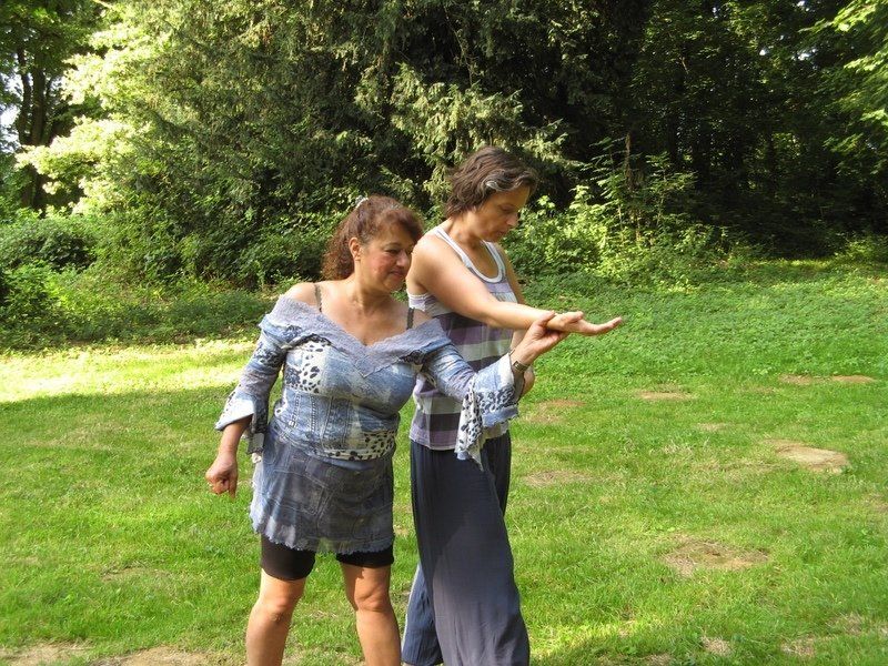 Twee vrouwen in een grasrijk park beoefenen Tai Chi. De een begeleidt de arm van de ander, terwijl ze allebei een geconcentreerde uitdrukking hebben en blauwe kleding dragen.
