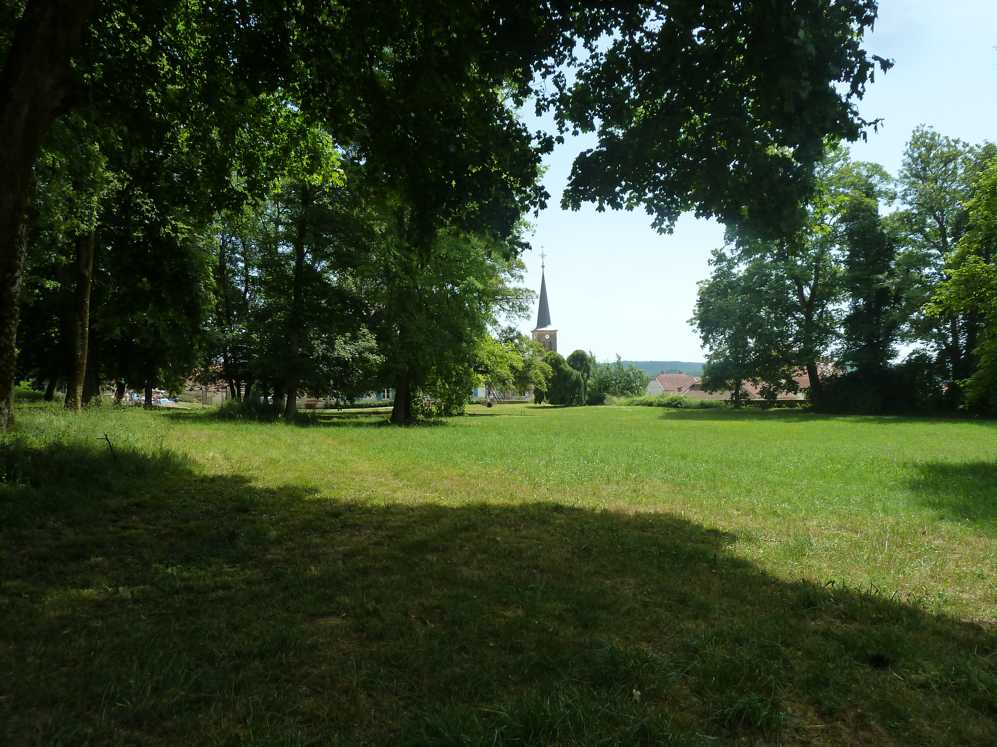 Een weelderig groen veld met een kerk op de achtergrond