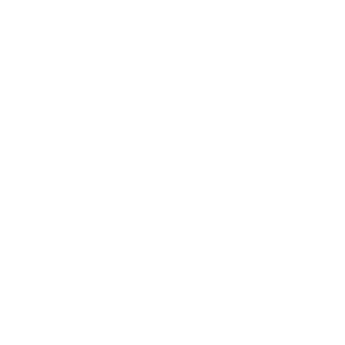 TEcHonfidence logo