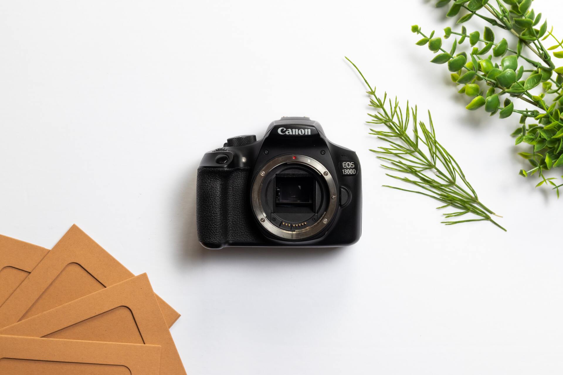 A DSLR Camera on a white background with greenery and cardboard tags