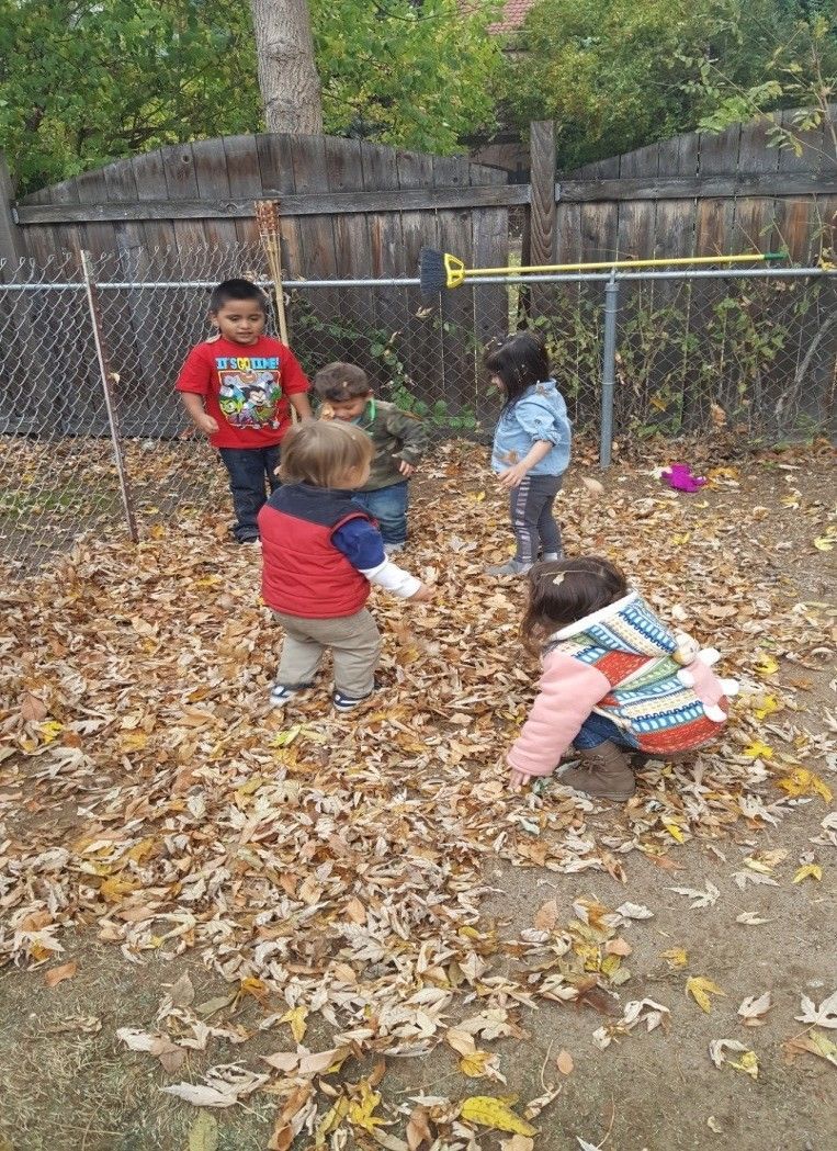 A group of children are playing in a pile of leaves.