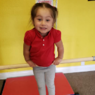 A Little Girl in a Red Shirt is Holding a Wooden Stick