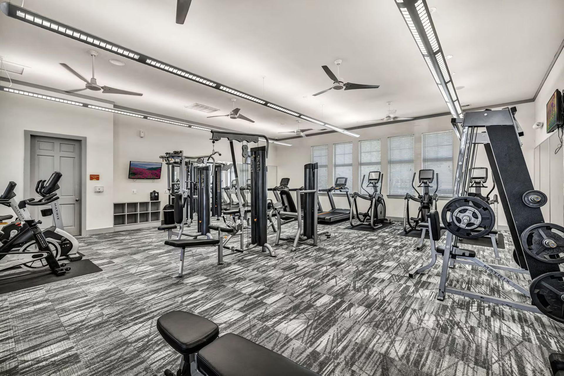 Gym interior with exercise machines, weights, and treadmills.