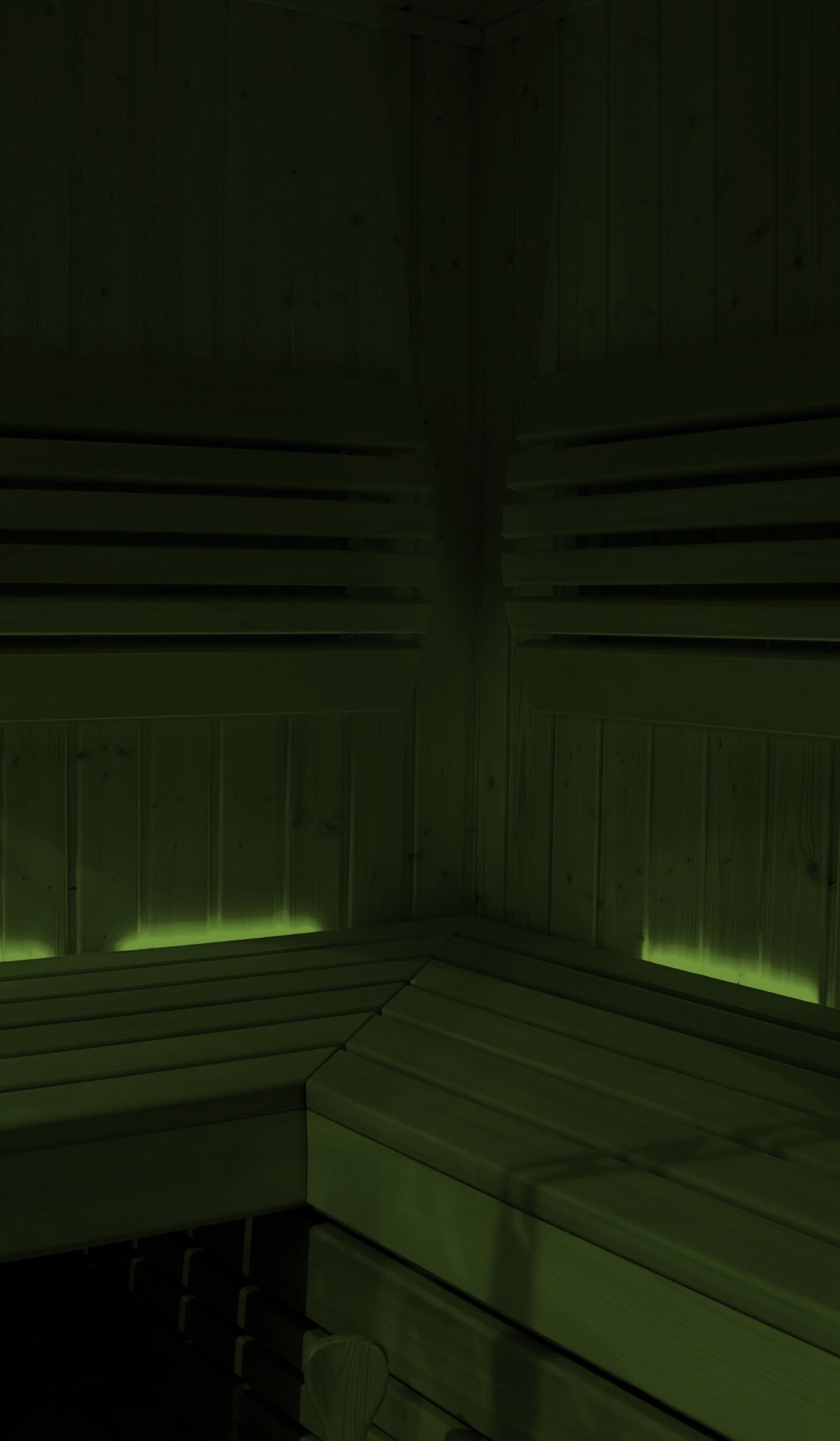 A dark green-filtered photo of the Infrared Jade Sauna