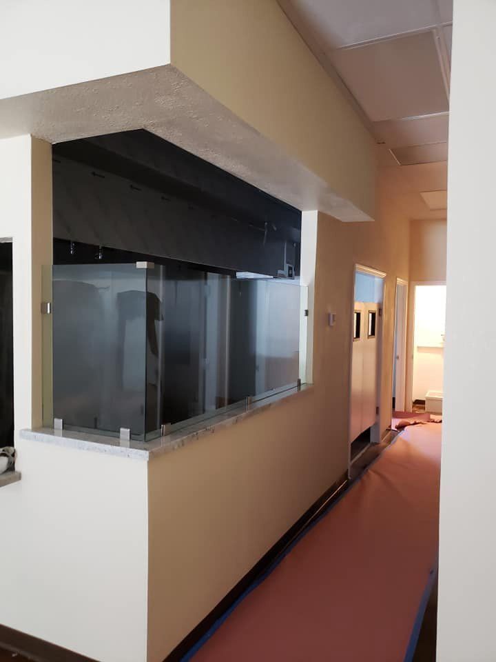 Auto Glass Repair Near Me