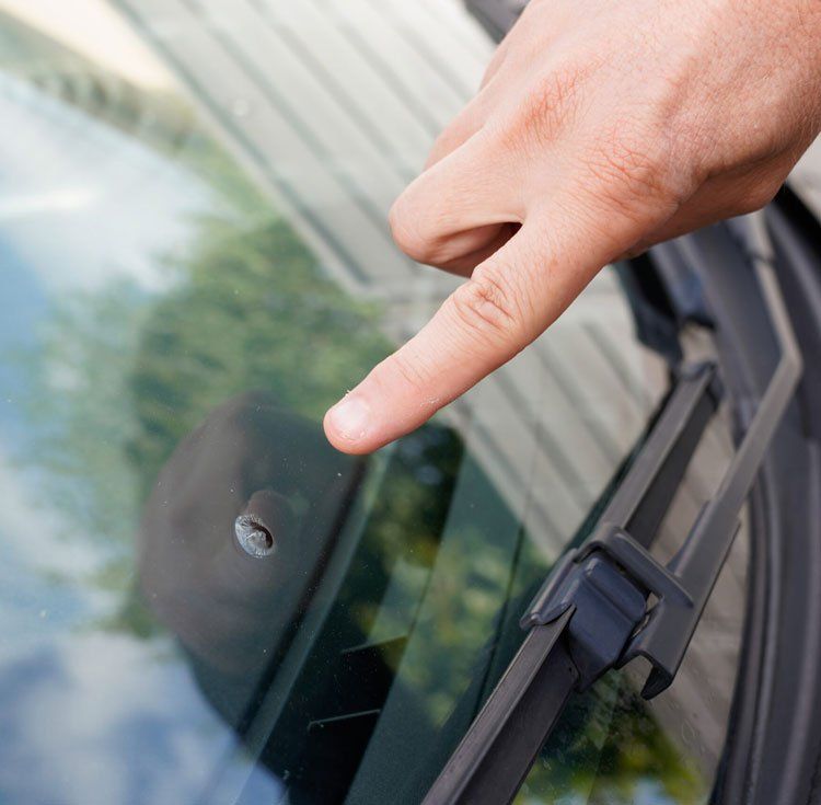 Window Company Near Me