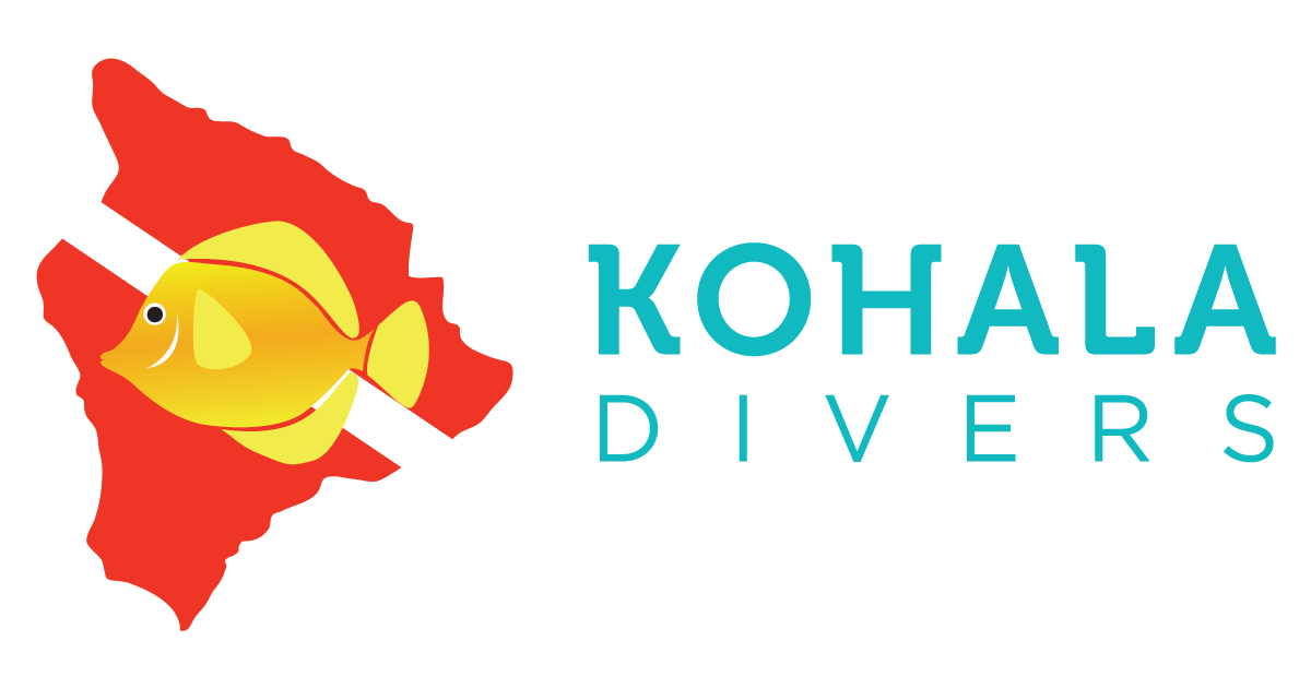 www.kohaladivers.com