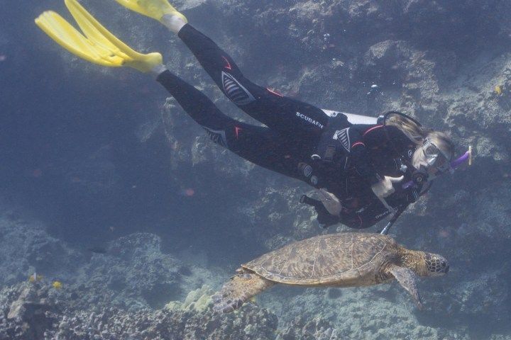 A scuba diver is swimming next to a sea turtle.