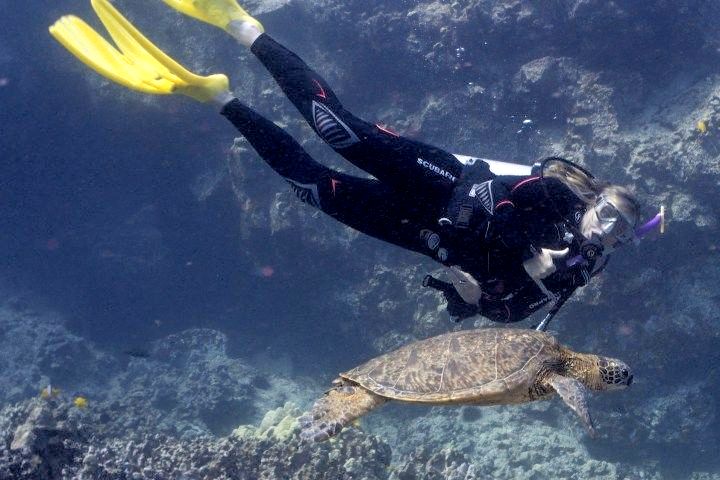 A scuba diver is swimming next to a turtle in the ocean.