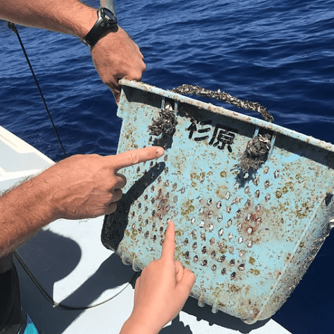 A person is pointing at a blue container with chinese writing on it