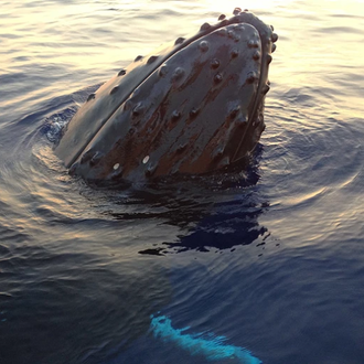 A man is helping a scuba diver out of the water.