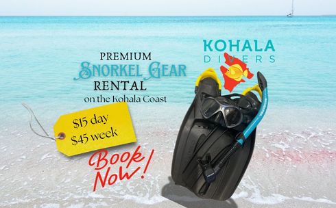 An advertisement for premium snorkel gear rental on the kona coast
