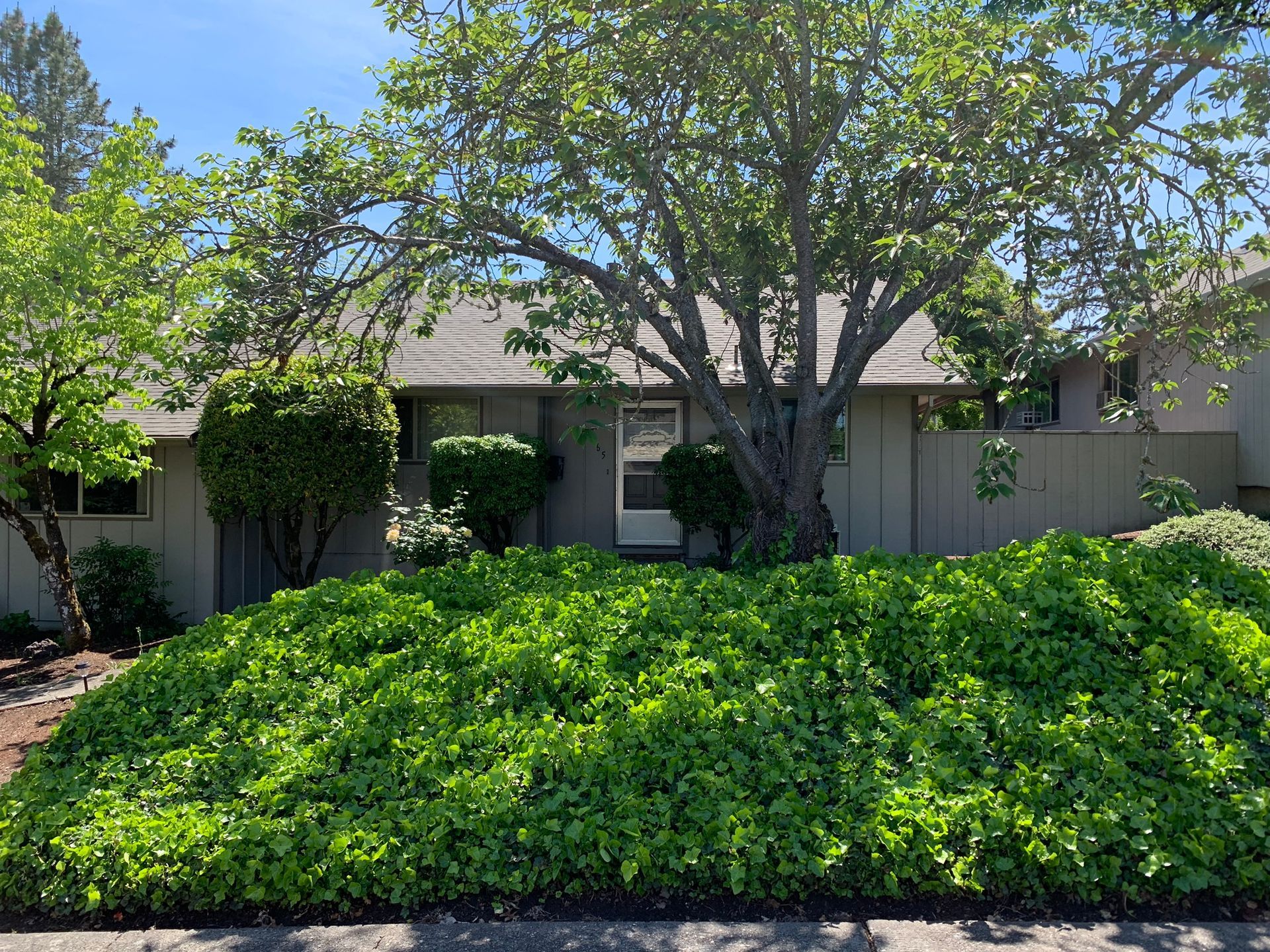 Take a Closer Look Today Villa Property Management