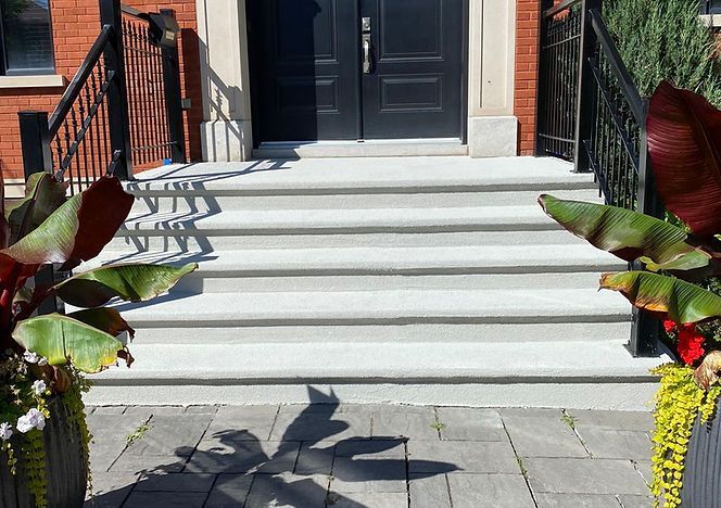 Un ensemble d'escaliers menant à une maison avec des plantes devant eux.
