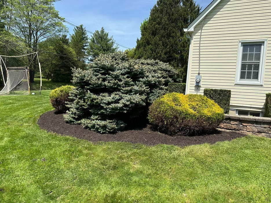 Lawn Care in Stewartsville, NJ
