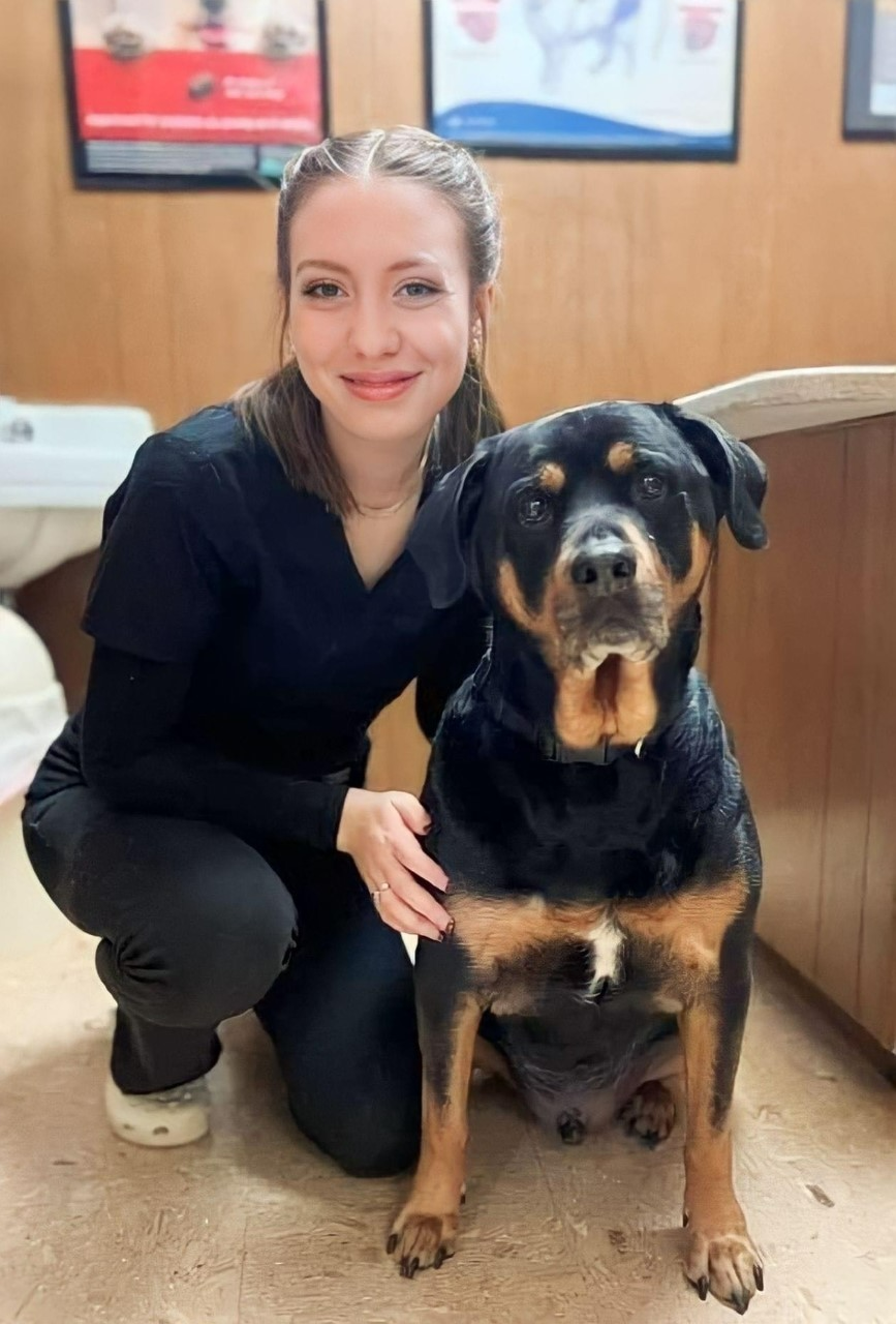 Vet Assistant | Hamilton, OH | Dixie Animal Clinic