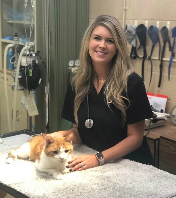 Vet Tech | Hamilton, OH | Dixie Animal Clinic
