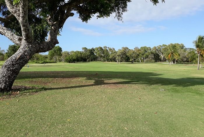 A Golf Course With A Tree In The Foreground — Rowes Bay Golf Club In Rowes Bay, QLD