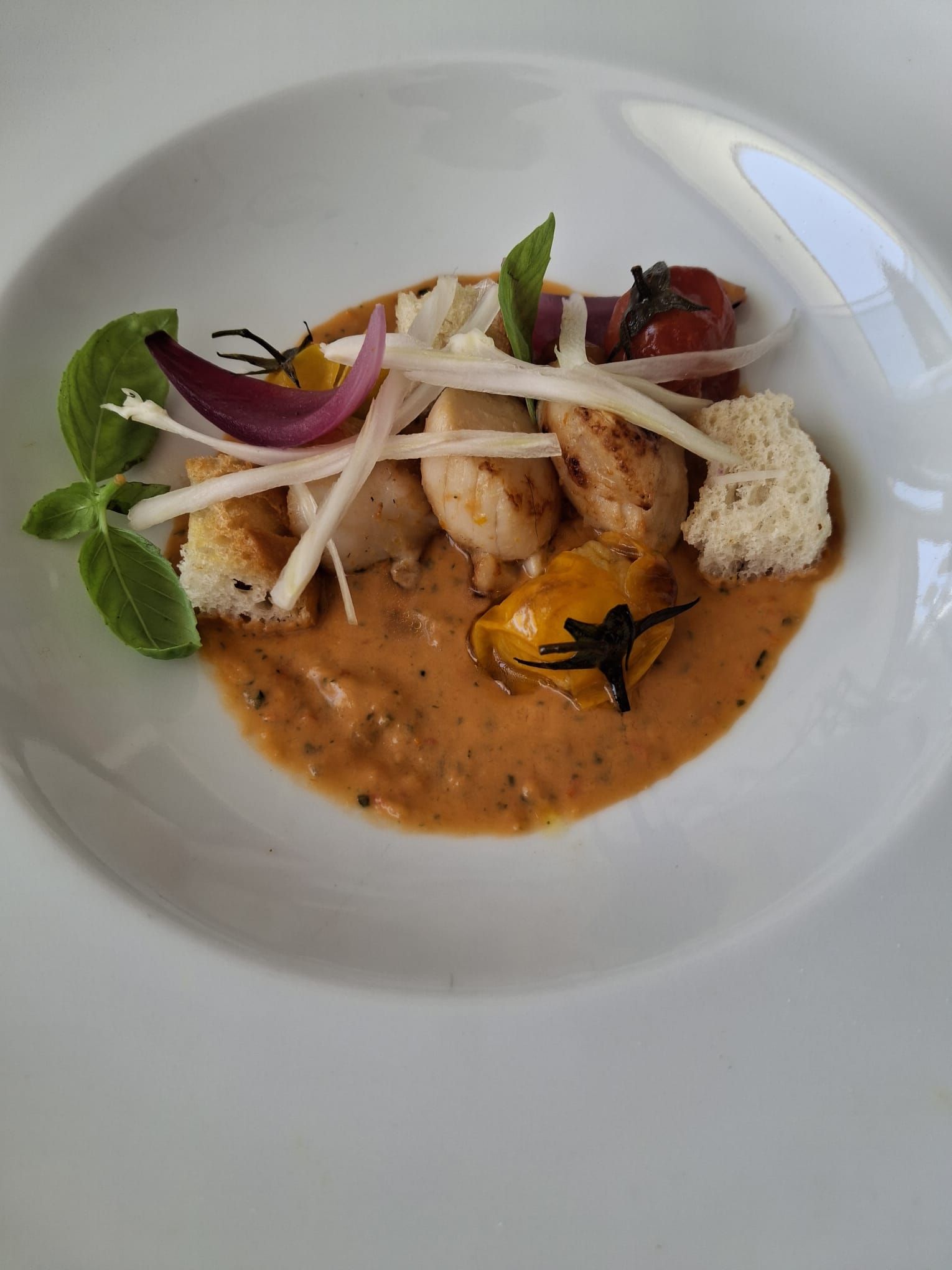 Nettuno club - ristorante - foto 9