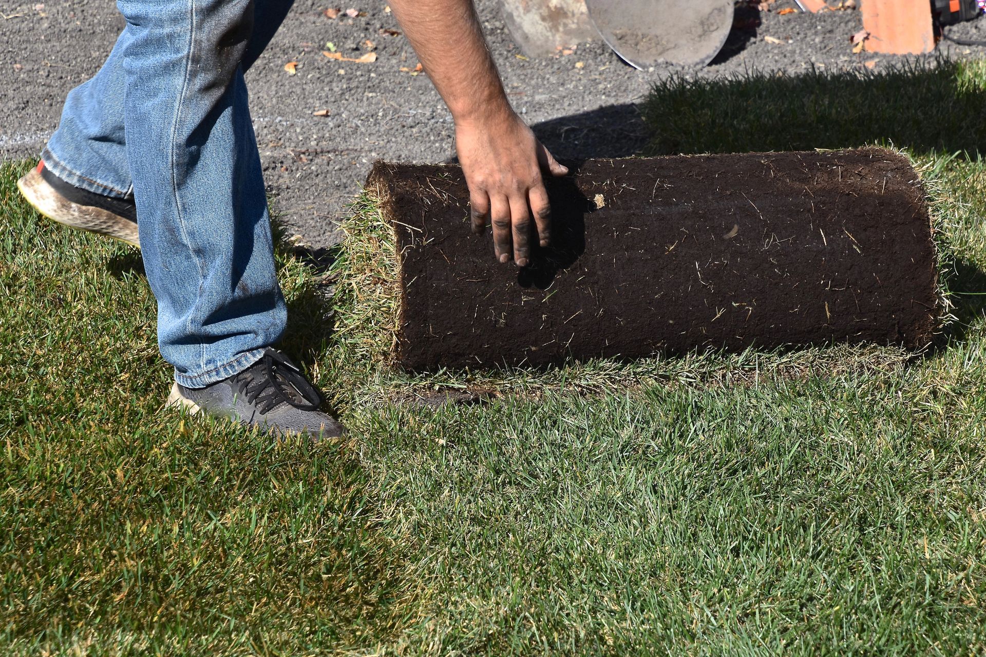 Sodding in Bonita Springs, FL