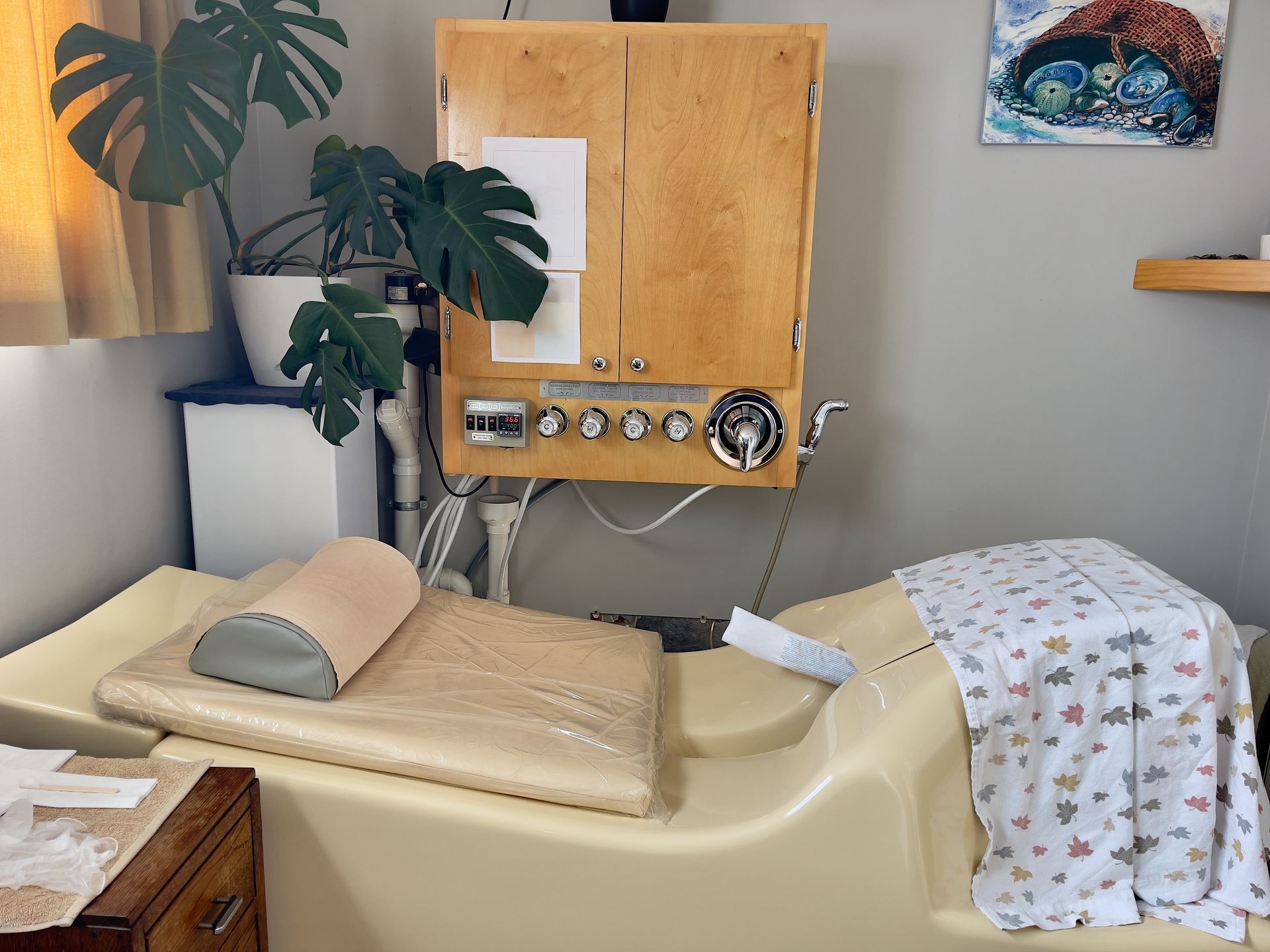 Small clinic room with a beige treatment bed, wooden equipment cabinet, plants, and a draped stool