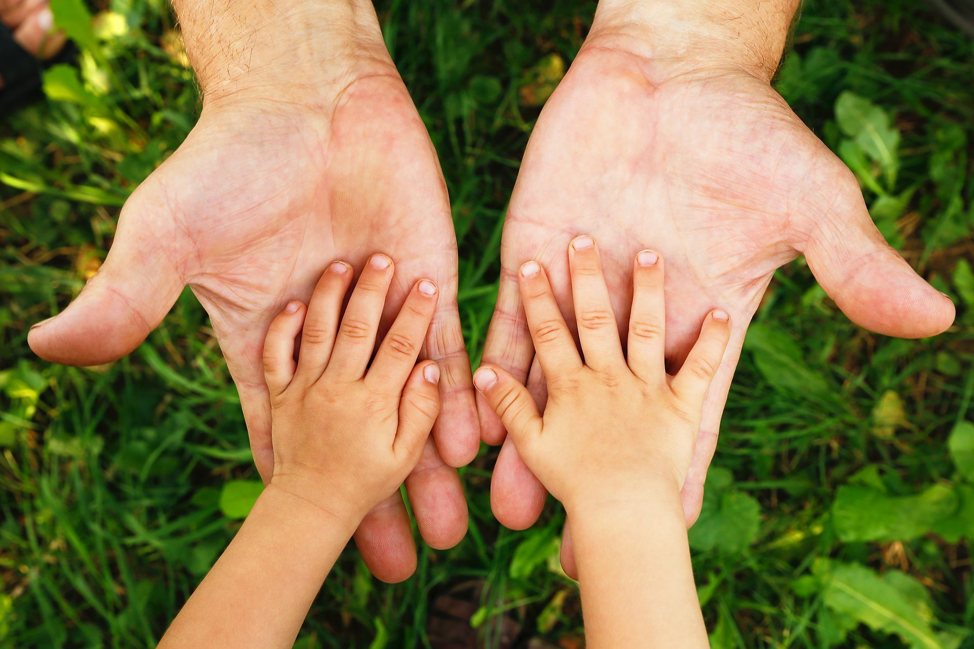 A person's large open hands held beneath a smaller pair of hands against a background of green grass.