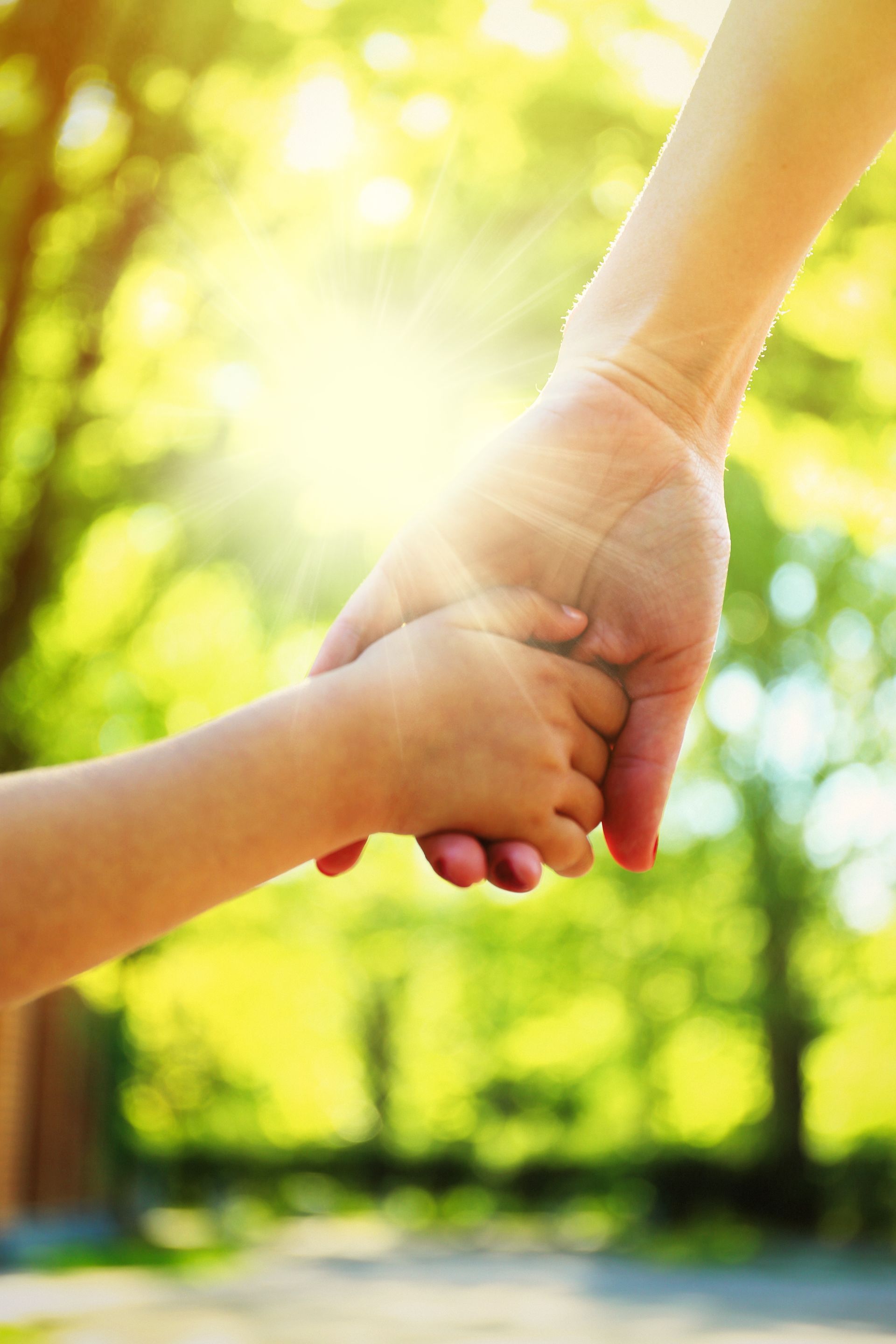 An adult and a small child hold hands against a backdrop of sun-drenched green trees.