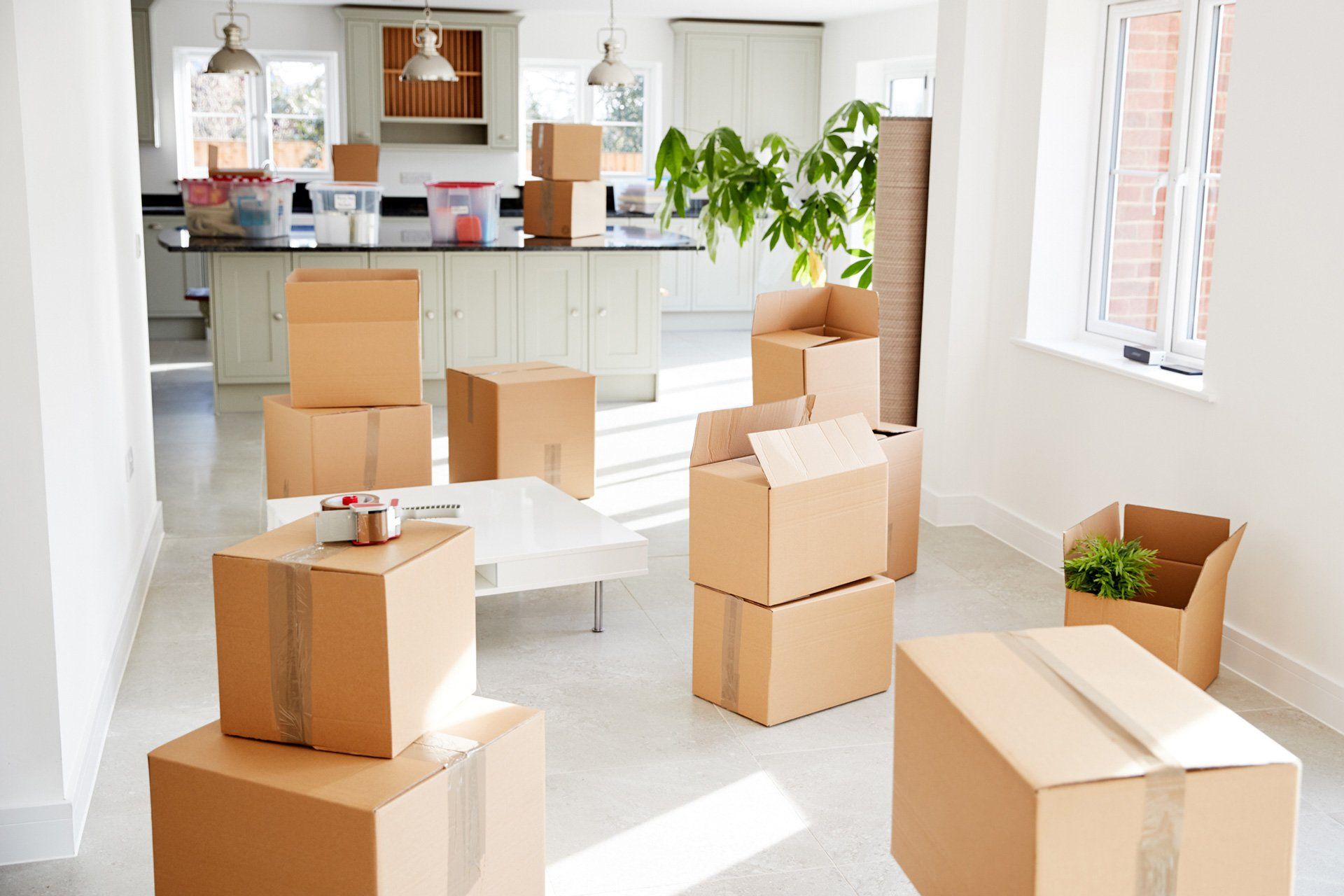 Full Estate With Moving Boxes — Vienna, VA — Fairfax Estate Sales TFV