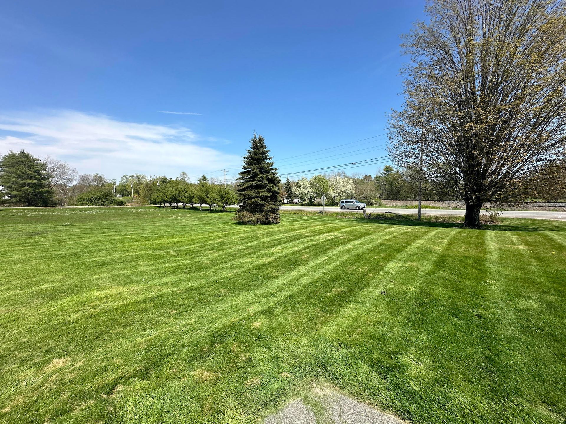 large lot lawn mowing service