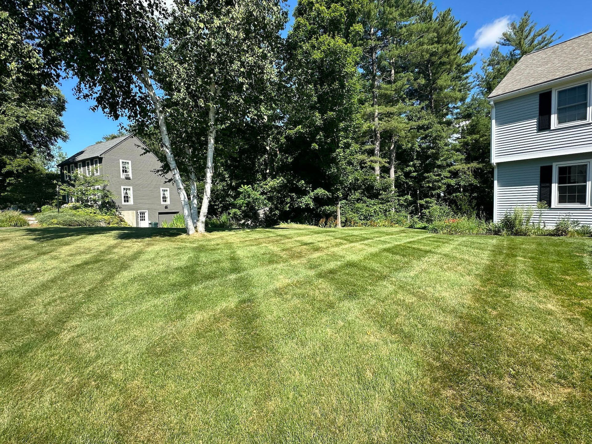 A lush green lawn in front of a house with trees in the background.