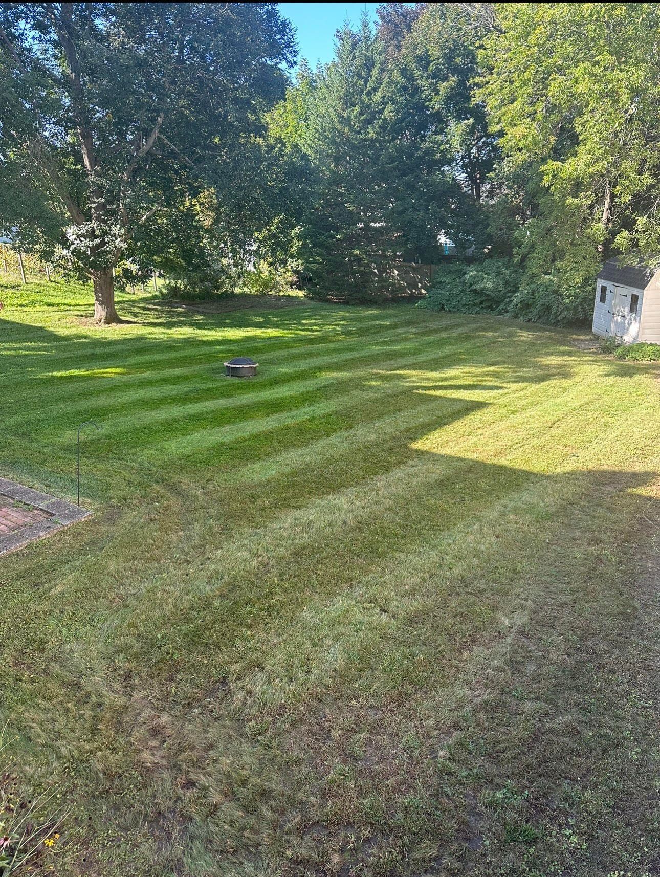 a lush green lawn with trees in the background and a house in the background .
