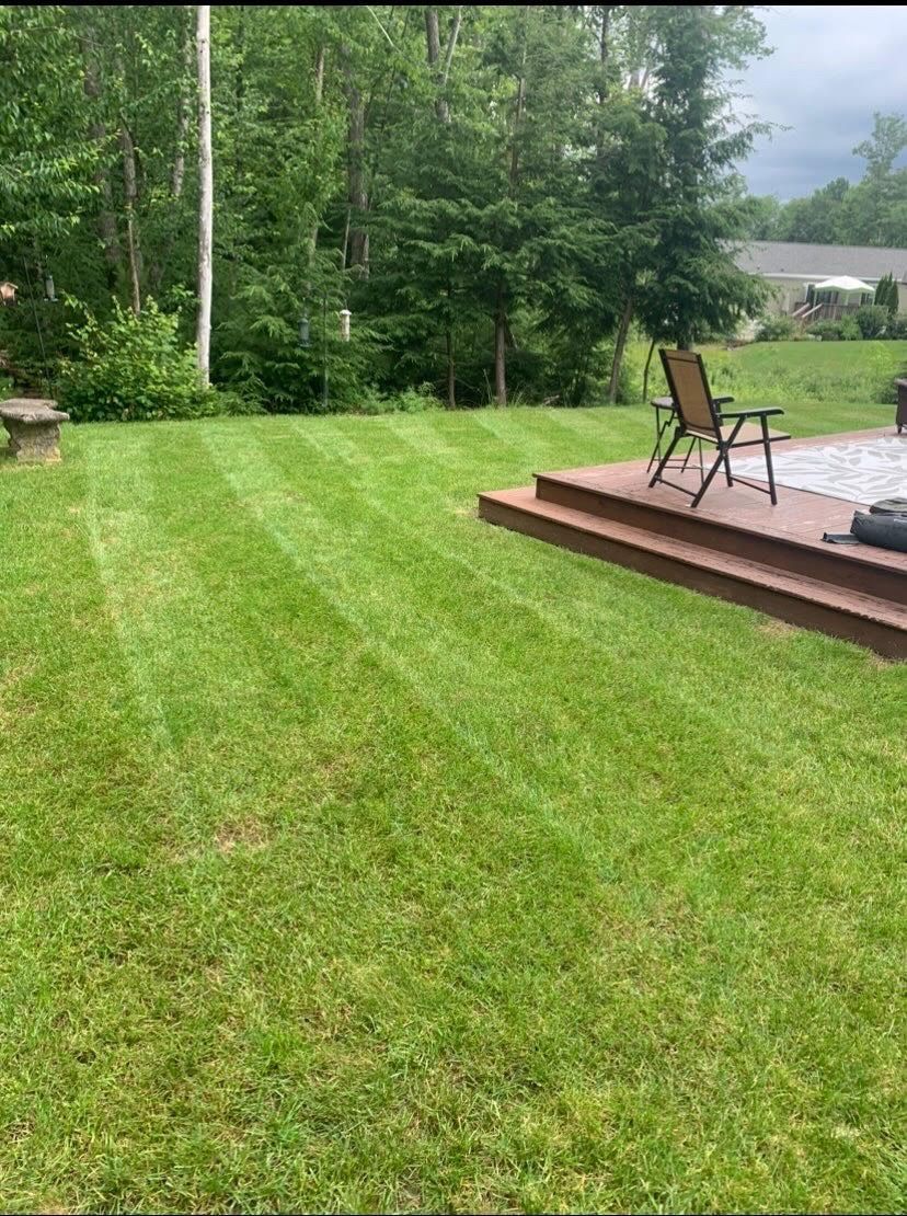 recently mowed lawn with a deck and chairs in the background .