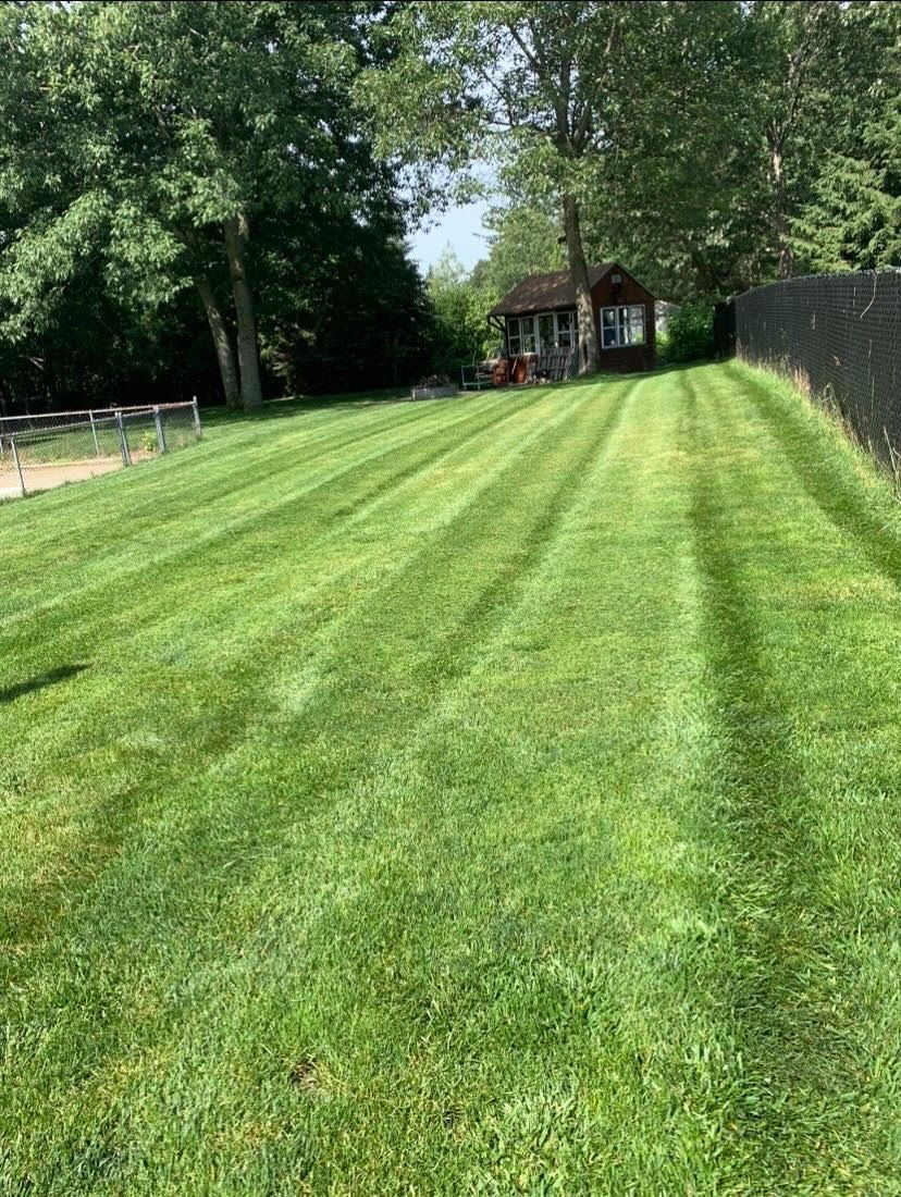 green lawn with a fence and a house in the background .