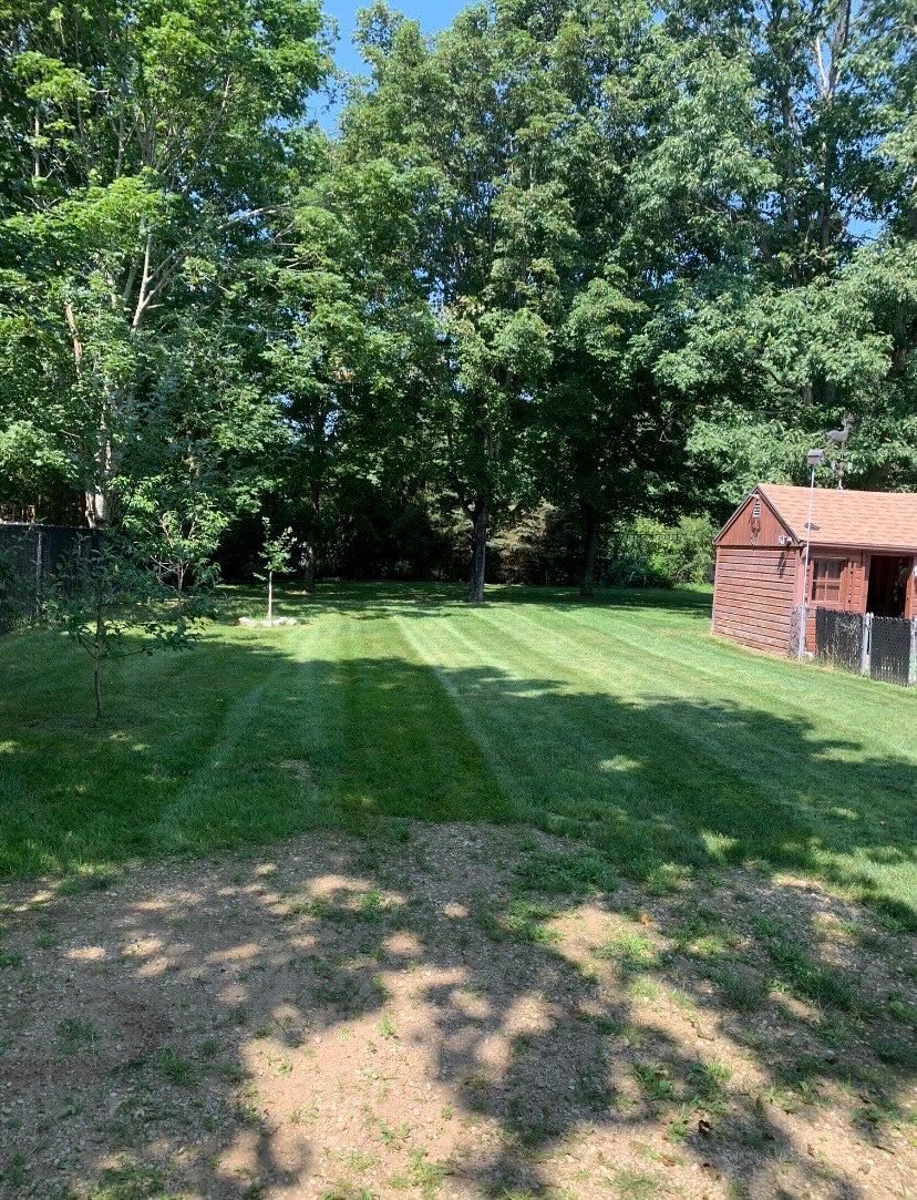 residential lawn mowing services in Dover NH, yard with a shed and trees in the background .