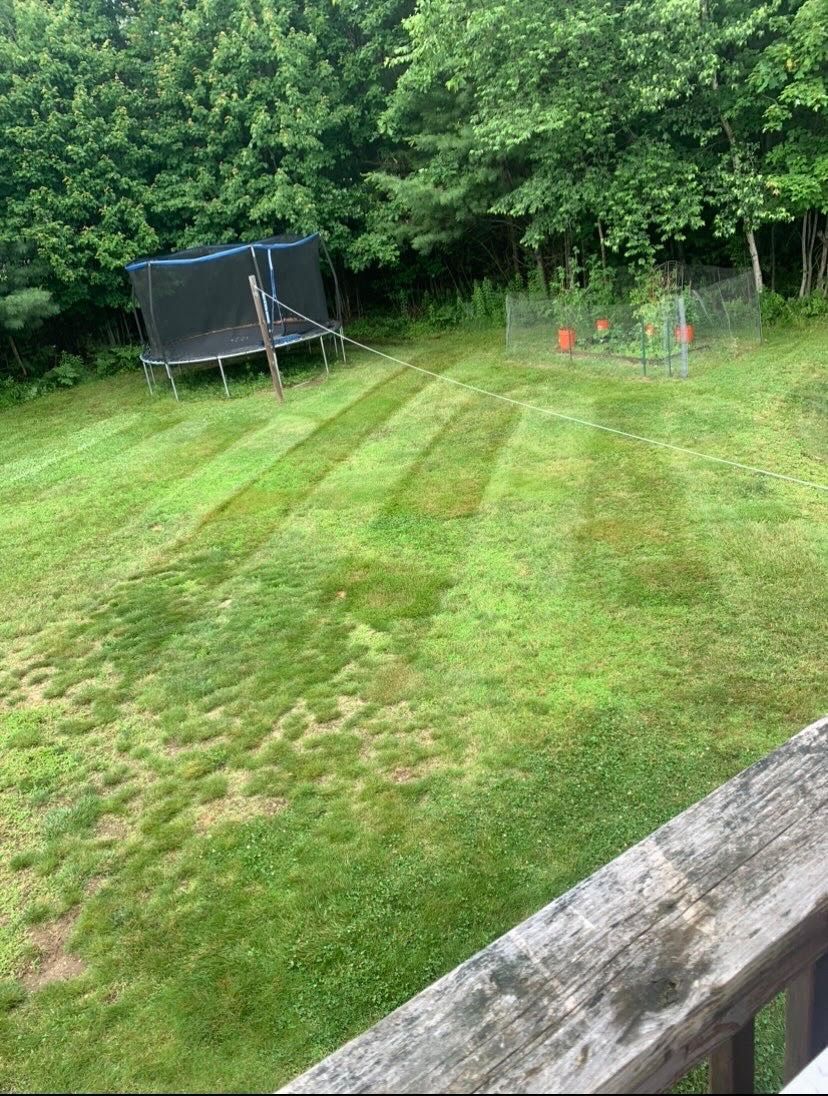 a trampoline is sitting in the middle of a lush green lawn .