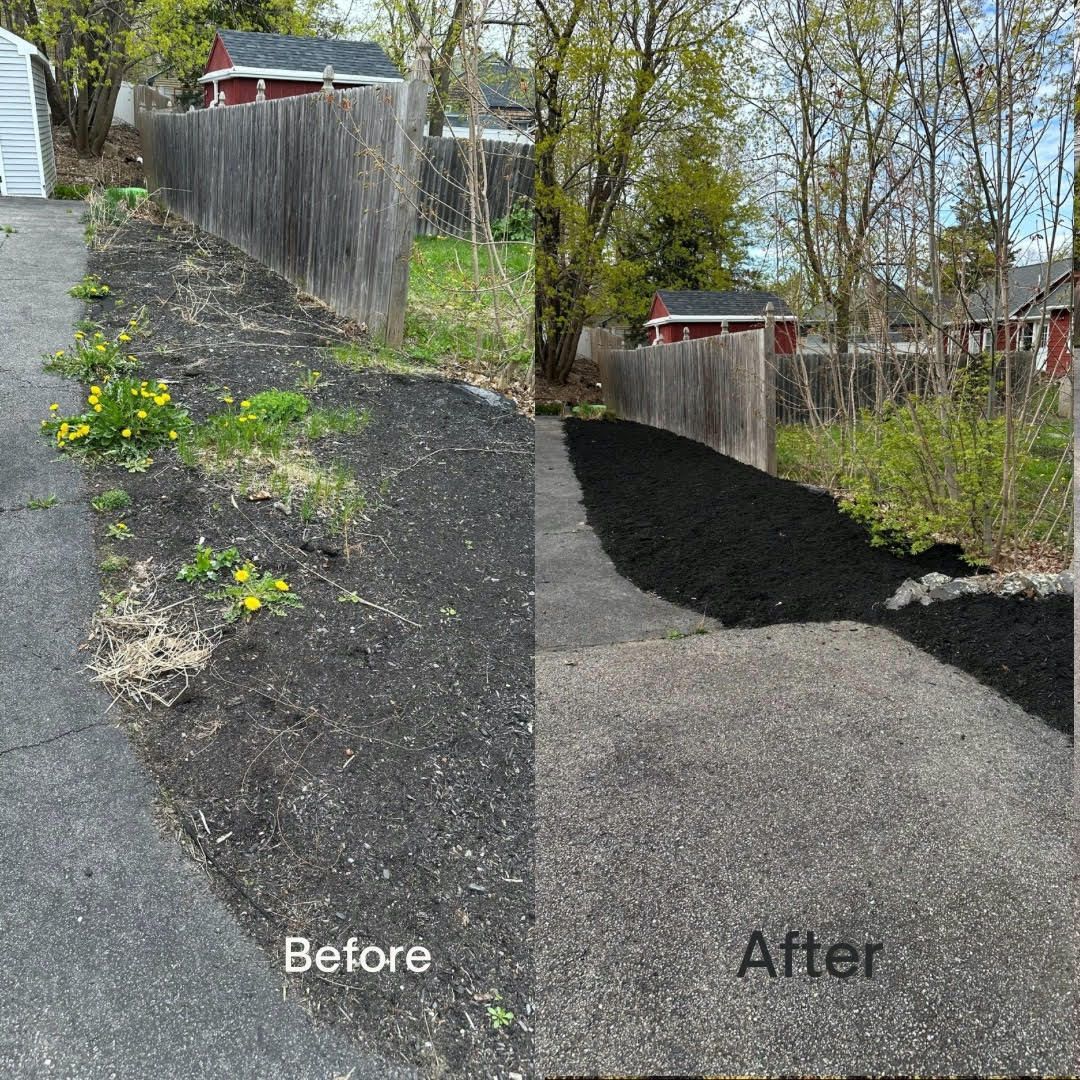 before and after landscaping maintenance service